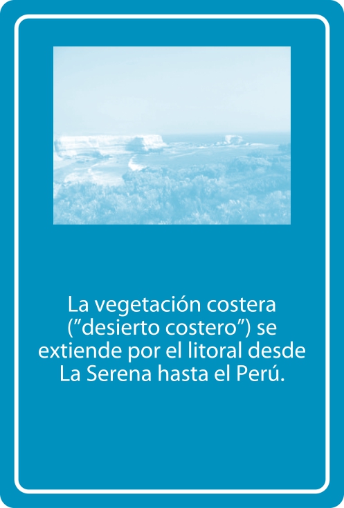 Portada Reverso